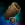 Lumber Synthesizer 2