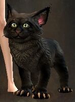 Mini Gray Journeykit.jpg