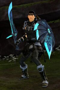 Vigil human male medium 1 (HoT sword and shield combat).jpg