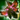 Caustic Nightmare Corsage.png