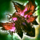 Caustic Nightmare Corsage.png