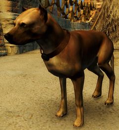 Drakehound Tracker.jpg