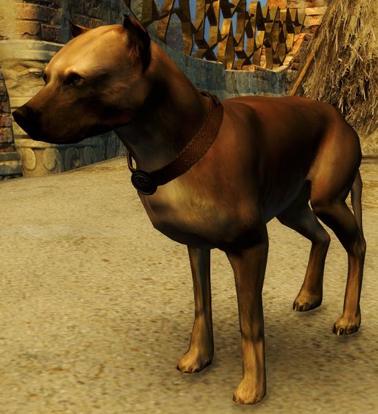 File:Drakehound Tracker.jpg