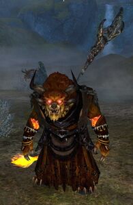 Flame Legion Fire Shaman 2.jpg