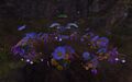 Thumbnail for version as of 07:48, 7 November 2025