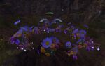 Gwyl Ring 9 Complete.jpg