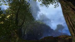 Privet Gardens.jpg