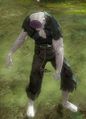 Risen Plague Carrier (human male).jpg
