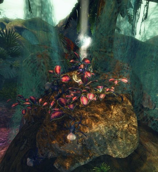 File:Spider Nest (hero challenge).jpg