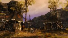 Spirit Hunter Camp.jpg
