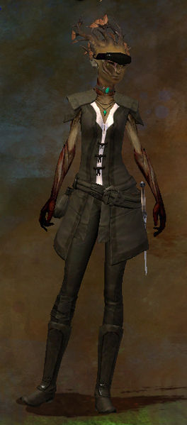 File:Sylvari Female Thief.jpg