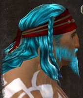 Unique norn male hair side 8.jpg
