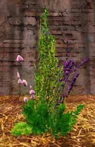 Verdant Herbs.jpg