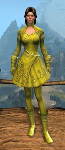 Appearance on light armor.