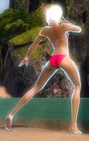 "PoseHigh" Emote back.jpg