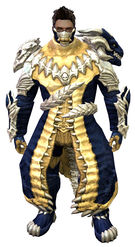 Accursed armor norn male front.jpg