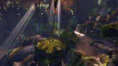 Anya's Patch (landmark).jpg