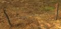 Thumbnail for version as of 21:38, 19 July 2025