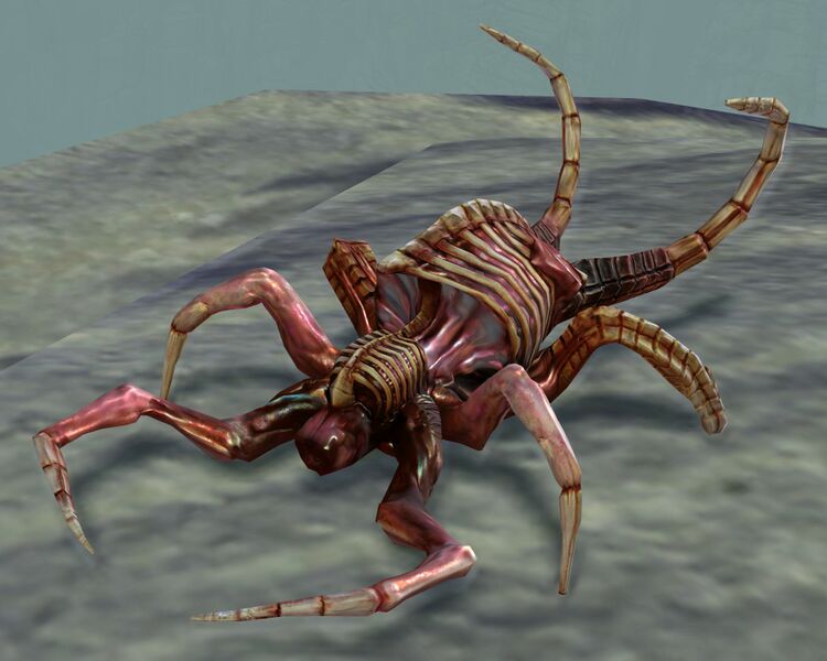 File:Bone Fiend.jpg