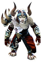Braham's armor charr female front.jpg