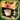 Champion Waffle the White Bear Loot Box