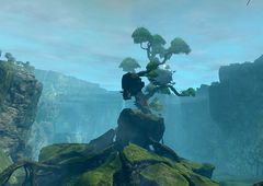 Dierdre's Steps.jpg