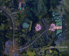 Echovald Wilds Insight- Aspenwood Passageway map.jpg