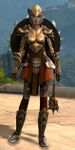 Lionguard sylvari heavy 1.jpg