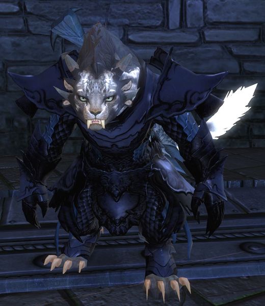File:Merchant (WvW weaponsmith).jpg