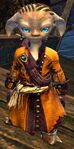 Pirate asura male 7.jpg