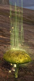 Ripe Shrinkcap.jpg