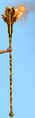 Royal Flame Staff.jpg