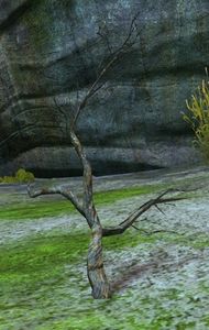 Scarecrow Build Site.jpg