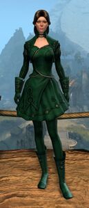 Appearance on light armor.