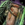 Strider's Leggings.png