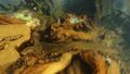 Thumbnail for version as of 23:07, 20 November 2024