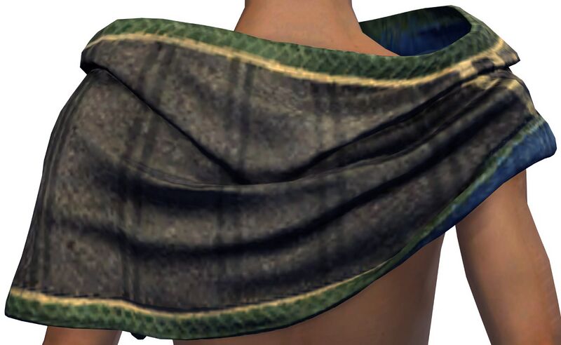 File:Wanderer's Zephyrite Shawl back.jpg