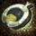 Zaklem, the Rune of Loyalty.png