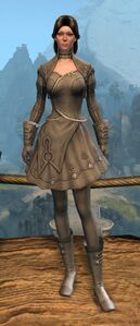 Appearance on light armor.