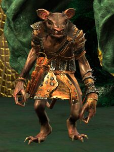 Collector Terksli.jpg