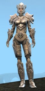 Appearance on heavy armor.