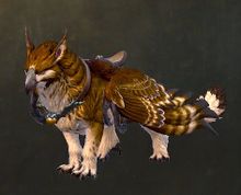 Northern Feather Wing.jpg