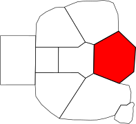 Pericardial Nexus locator.svg