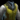 Shirt.png