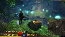 Skyscale Lost—Coddler's Cove.jpg