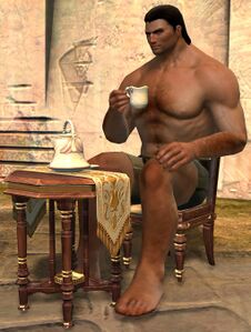 Teatime Chair norn male.jpg