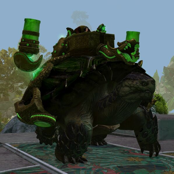 File:Turtle Rider.jpg