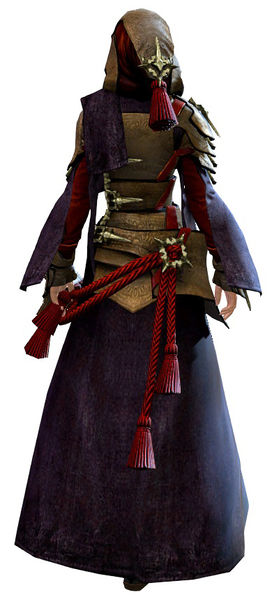 File:Arcane Outfit human female back.jpg