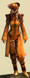 Appearance on medium armor.