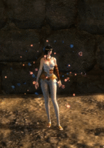 Chak Animation 3.gif